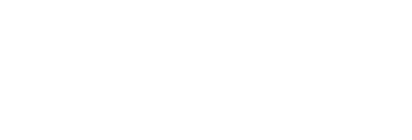 logo light